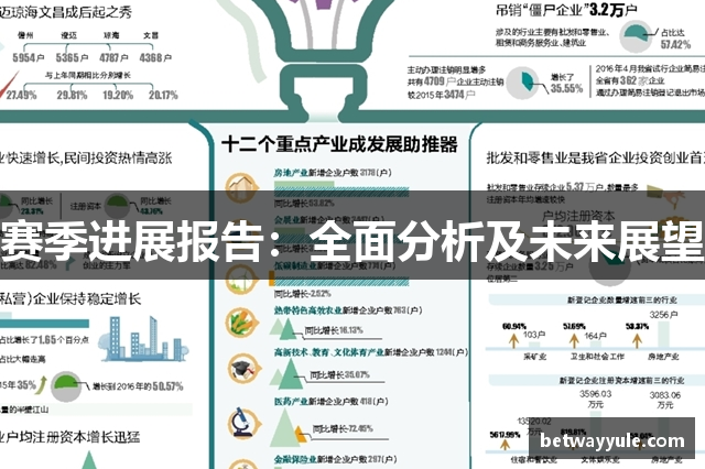 赛季进展报告：全面分析及未来展望